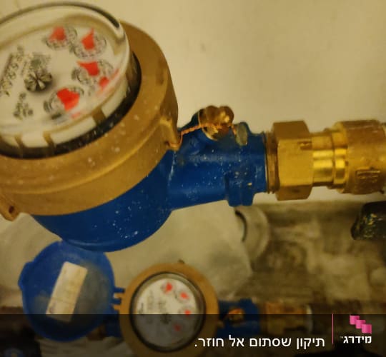 מד מים כחול עם חיבורים מוזהבים